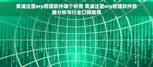 黄浦注塑erp管理软件哪个好用 黄浦注塑erp管理软件数据分析与行业口碑推荐