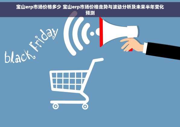 宝山erp市场价格多少 宝山erp市场价格走势与波动分析及未来半年变化预测