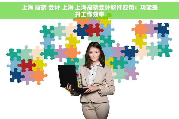上海 高端 会计 上海 上海高端会计软件应用：功能提升工作效率