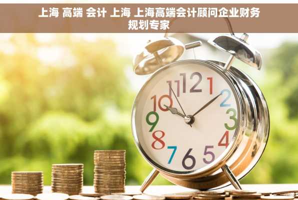 上海 高端 会计 上海 上海高端会计顾问企业财务规划专家