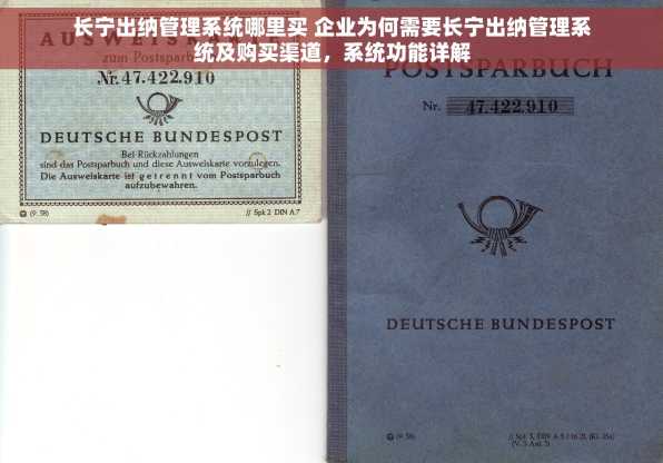 长宁出纳管理系统哪里买 企业为何需要长宁出纳管理系统及购买渠道，系统功能详解