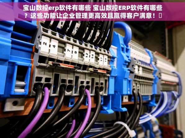 宝山数控erp软件有哪些 宝山数控ERP软件有哪些？这些功能让企业管理更高效且赢得客户满意！✨