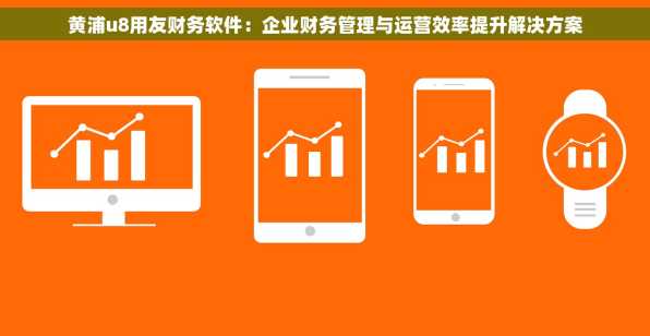 黄浦u8用友财务软件：企业财务管理与运营效率提升解决方案