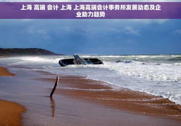 上海 高端 会计 上海 上海高端会计事务所发展动态及企业助力趋势