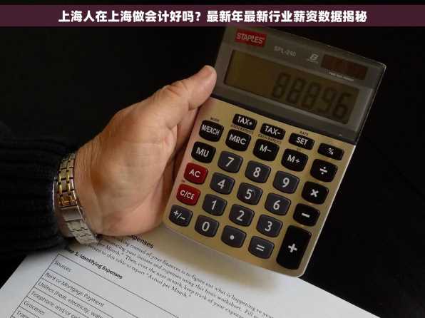 上海人在上海做会计好吗？最新年最新行业薪资数据揭秘
