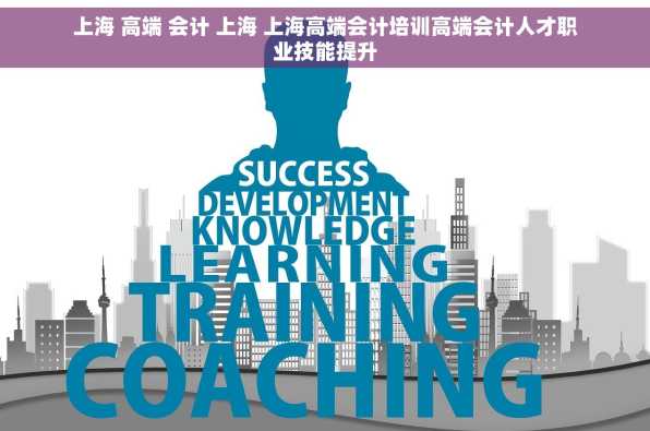 上海 高端 会计 上海 上海高端会计培训高端会计人才职业技能提升
