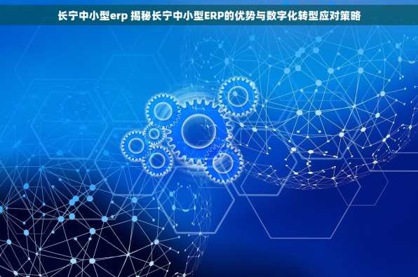 长宁中小型erp 揭秘长宁中小型ERP的优势与数字化转型应对策略