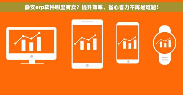 静安erp软件哪里有卖？提升效率、省心省力不再是难题！