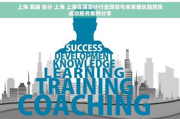 上海 高端 会计 上海 上海高端会计行业现状与未来增长趋势及成功服务案例分享