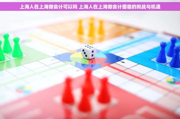 上海人在上海做会计可以吗 上海人在上海做会计面临的挑战与机遇