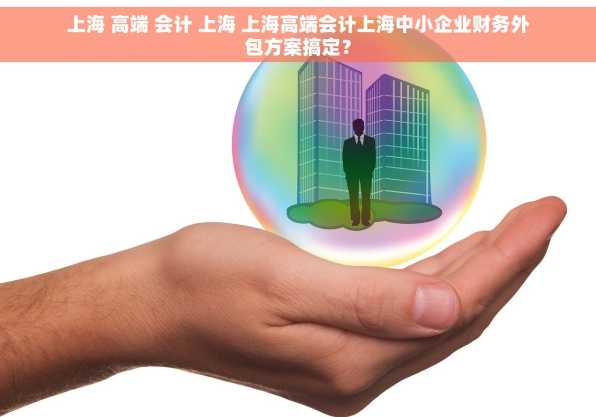 上海 高端 会计 上海 上海高端会计上海中小企业财务外包方案搞定？
