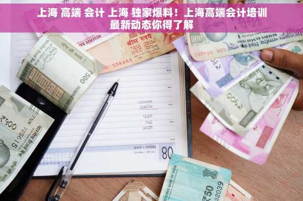 上海 高端 会计 上海 独家爆料！上海高端会计培训最新动态你得了解