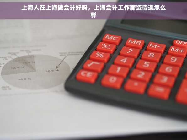 上海人在上海做会计好吗，上海会计工作薪资待遇怎么样