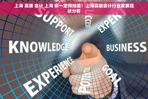 上海 高端 会计 上海 你一定得知道！上海高端会计行业发展现状分析