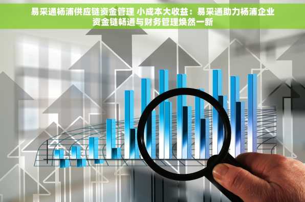 易采通杨浦供应链资金管理 小成本大收益：易采通助力杨浦企业资金链畅通与财务管理焕然一新