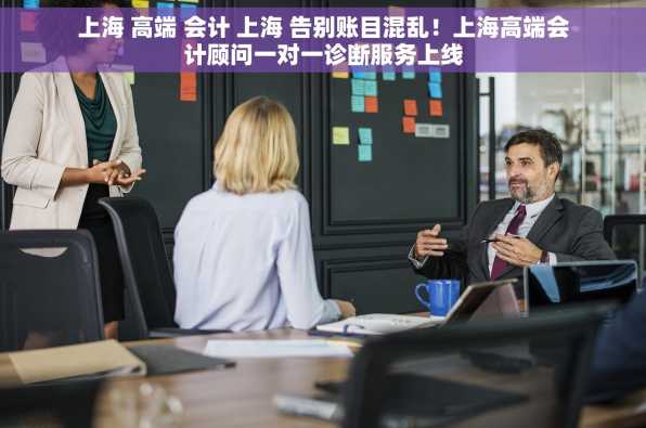 上海 高端 会计 上海 告别账目混乱！上海高端会计顾问一对一诊断服务上线