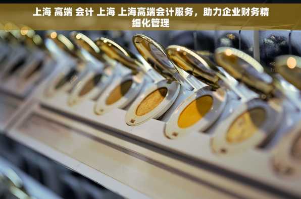 上海 高端 会计 上海 上海高端会计服务，助力企业财务精细化管理