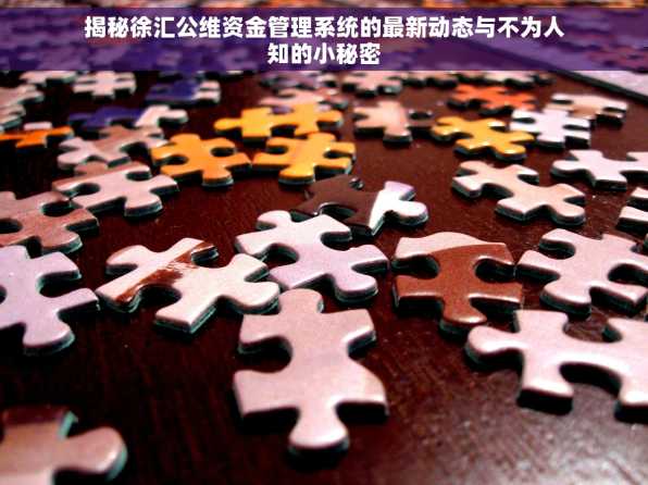 揭秘徐汇公维资金管理系统的最新动态与不为人知的小秘密