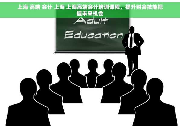 上海 高端 会计 上海 上海高端会计培训课程，提升财会技能把握未来机会