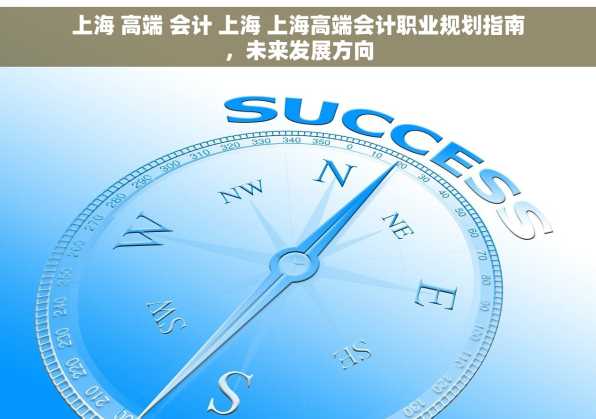 上海 高端 会计 上海 上海高端会计职业规划指南，未来发展方向