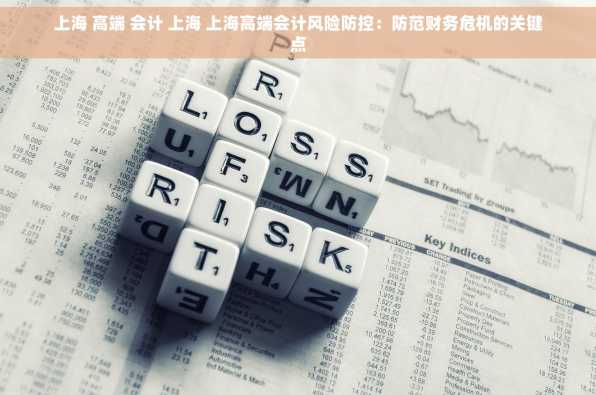 上海 高端 会计 上海 上海高端会计风险防控：防范财务危机的关键点