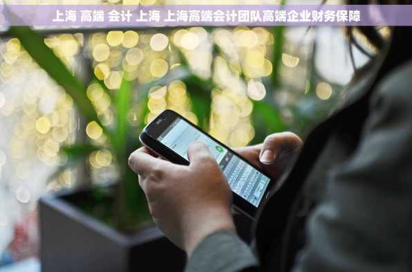 上海 高端 会计 上海 上海高端会计团队高端企业财务保障