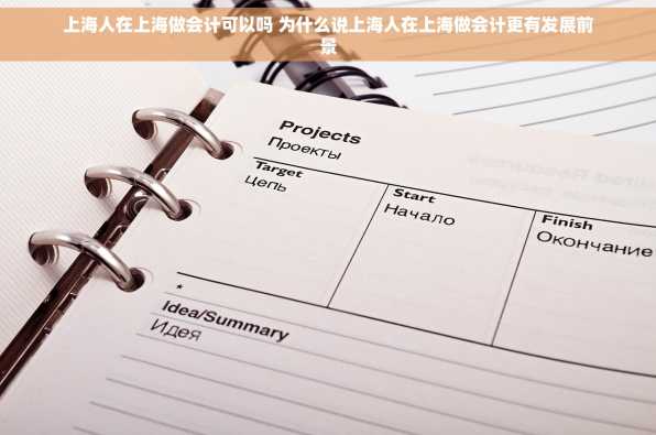 上海人在上海做会计可以吗 为什么说上海人在上海做会计更有发展前景