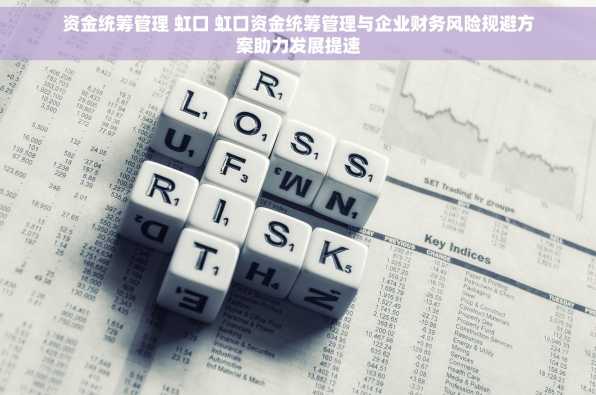 资金统筹管理 虹口 虹口资金统筹管理与企业财务风险规避方案助力发展提速