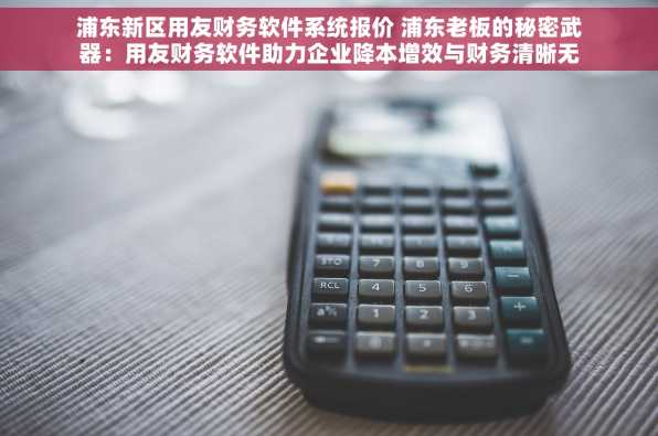浦东新区用友财务软件系统报价 浦东老板的秘密武器：用友财务软件助力企业降本增效与财务清晰无忧