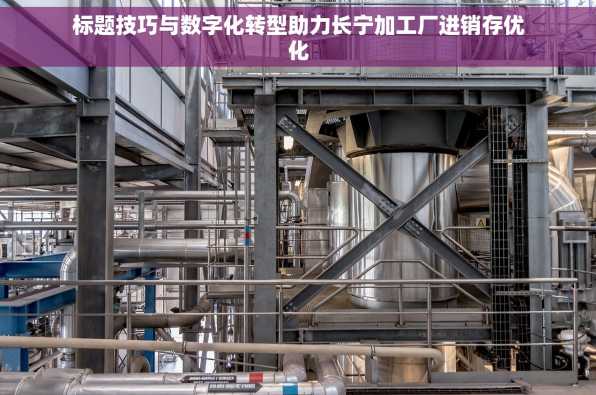 标题技巧与数字化转型助力长宁加工厂进销存优化