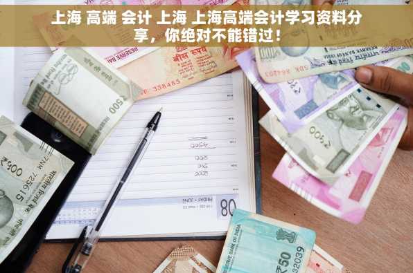 上海 高端 会计 上海 上海高端会计学习资料分享，你绝对不能错过！