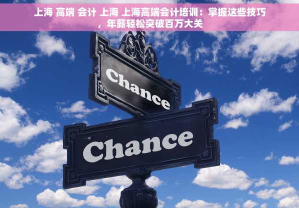 上海 高端 会计 上海 上海高端会计培训：掌握这些技巧，年薪轻松突破百万大关