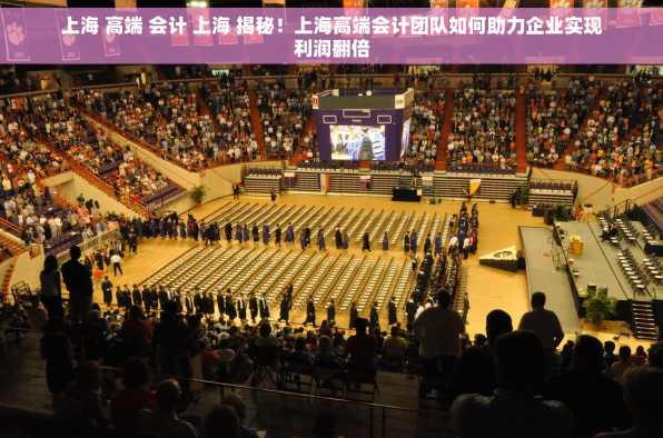 上海 高端 会计 上海 揭秘！上海高端会计团队如何助力企业实现利润翻倍