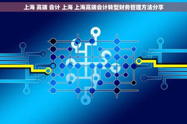上海 高端 会计 上海 上海高端会计转型财务管理方法分享