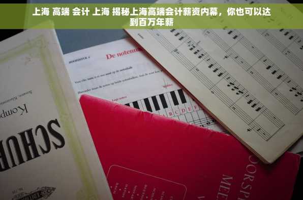 上海 高端 会计 上海 揭秘上海高端会计薪资内幕，你也可以达到百万年薪