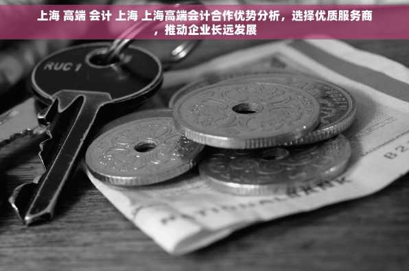 上海 高端 会计 上海 上海高端会计合作优势分析，选择优质服务商，推动企业长远发展