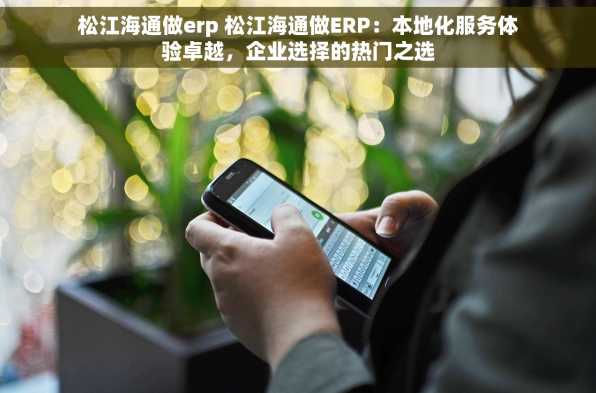 松江海通做erp 松江海通做ERP：本地化服务体验卓越，企业选择的热门之选