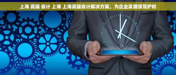上海 高端 会计 上海 上海高端会计解决方案，为企业发展保驾护航