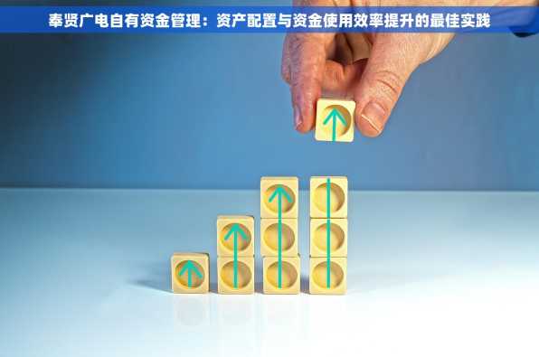 奉贤广电自有资金管理：资产配置与资金使用效率提升的最佳实践