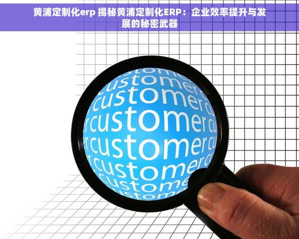 黄浦定制化erp 揭秘黄浦定制化ERP：企业效率提升与发展的秘密武器