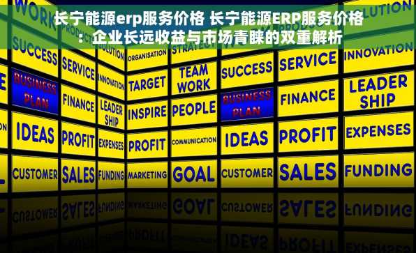 长宁能源erp服务价格 长宁能源ERP服务价格：企业长远收益与市场青睐的双重解析