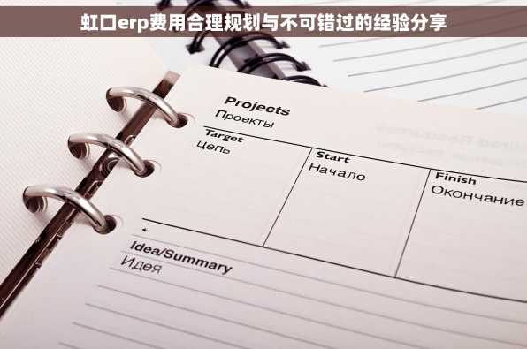 虹口erp费用合理规划与不可错过的经验分享