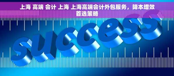 上海 高端 会计 上海 上海高端会计外包服务，降本增效首选策略