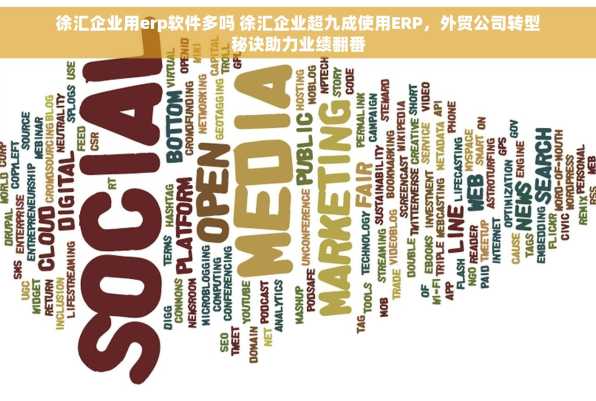 徐汇企业用erp软件多吗 徐汇企业超九成使用ERP，外贸公司转型秘诀助力业绩翻番