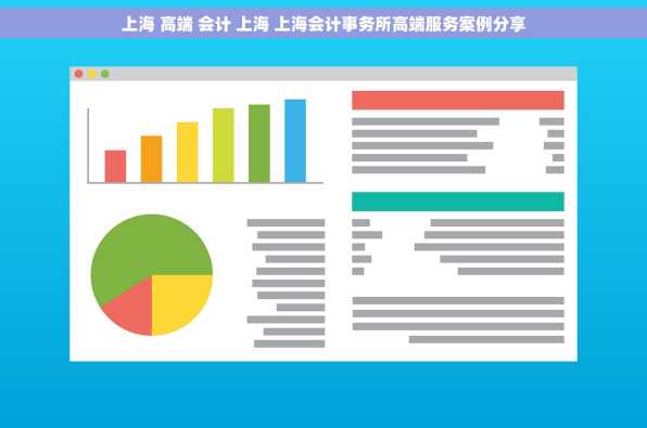 上海 高端 会计 上海 上海会计事务所高端服务案例分享