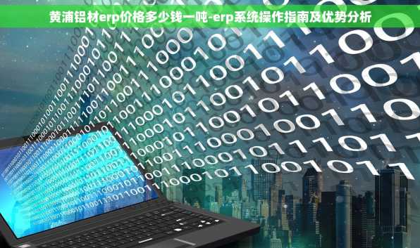 黄浦铝材erp价格多少钱一吨-erp系统操作指南及优势分析
