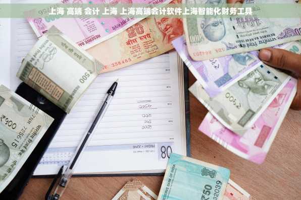 上海 高端 会计 上海 上海高端会计软件上海智能化财务工具