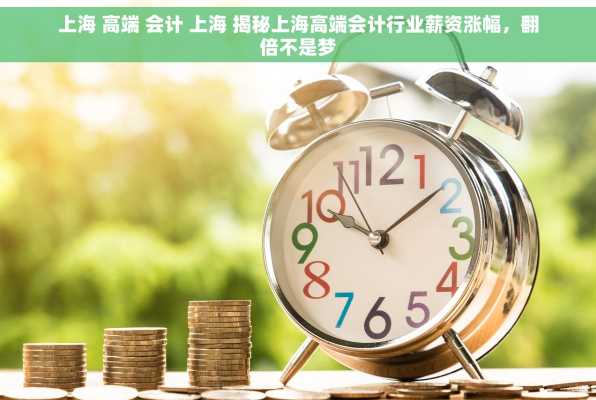 上海 高端 会计 上海 揭秘上海高端会计行业薪资涨幅，翻倍不是梦