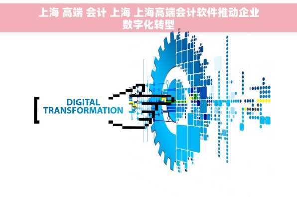 上海 高端 会计 上海 上海高端会计软件推动企业数字化转型
