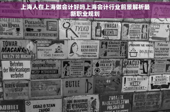 上海人在上海做会计好吗上海会计行业前景解析最新职业规划